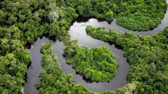 Amazon River