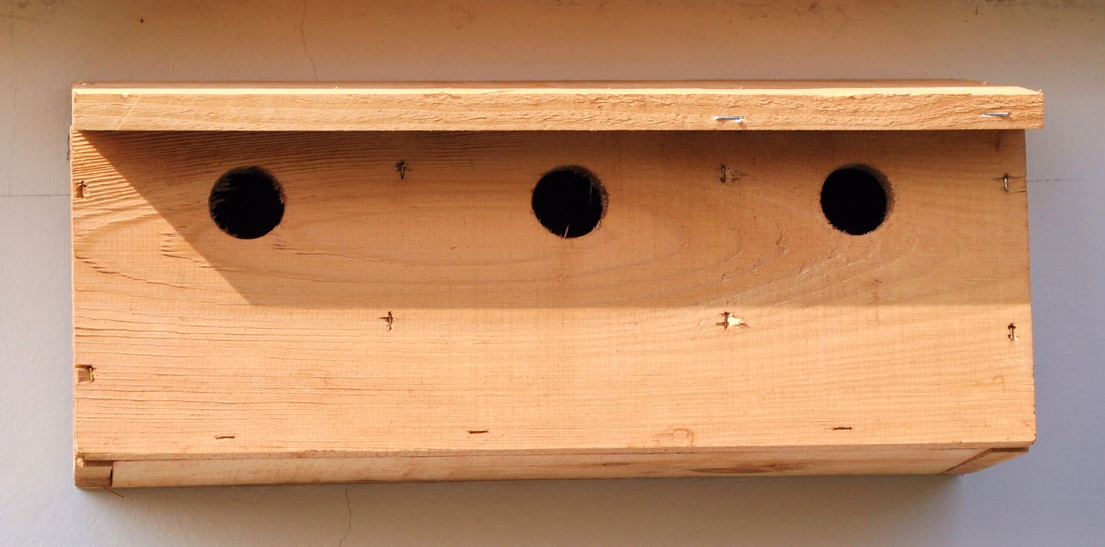 House Sparrow Bird Box Plans