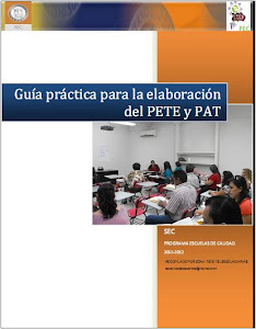 GUÍA PRÁCTICA PARA LA ELABORACIÓN DEL PETE Y PAT
