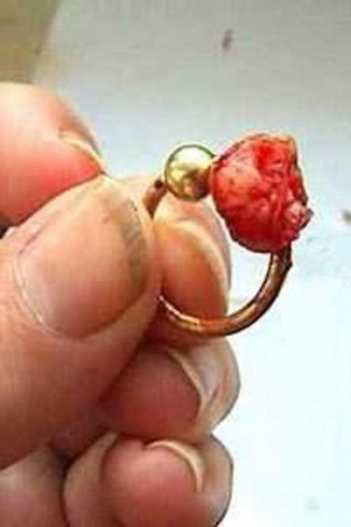 Piercings e Alargadores