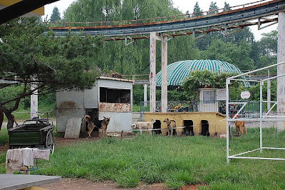 北韓唯一遊樂園：北韓唯一遊樂園 萬景臺遊樂園