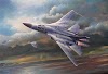 Northrop Grumman F-14 Tomcat