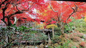 京都 柳谷観音 紅葉