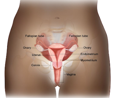 Cervical Cancer