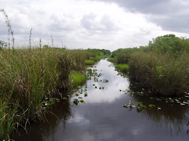 Everglades by airboat