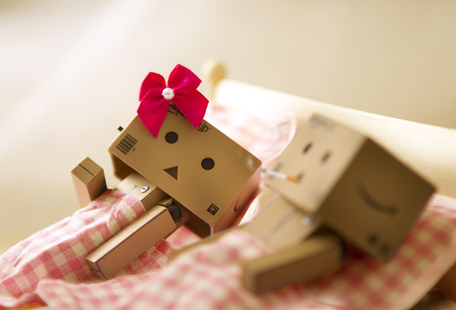 Danbo Love