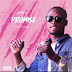 MUSIC: Ayovic - Promise