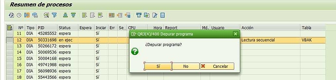 Ventana emergente debug SAP