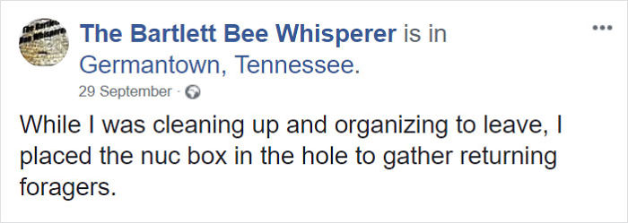 A Honeybee Rescue And Relocation Organization Shares Its Unbelievable Discovery After Removing The Bricks From A Client’s House