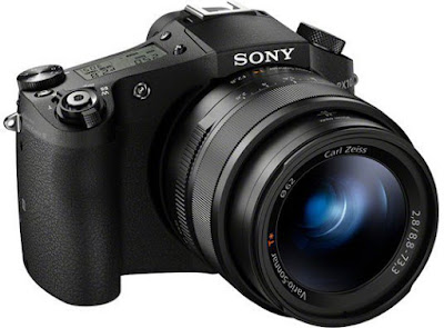 Sony DSC-RX10