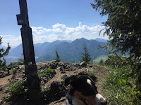 Wanderung mit Hund im Oberland bzw den bayerischen Voralpen auf den Osterfeuerkopf bei Eschenlohe