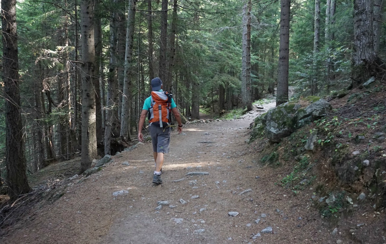 GR52 trail in upper Boréon Valley