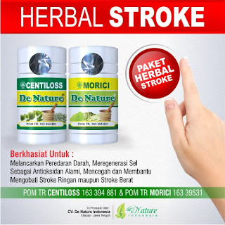 Obat Herbal Stroke, Obat Herbal Stroke alami, Obat Herbal Stroke ampuh, Obat Herbal Stroke mujarab, 