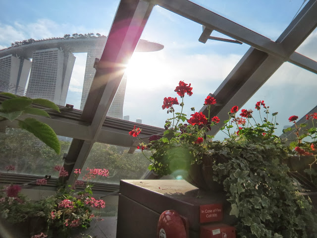 Gardens by the bay flower