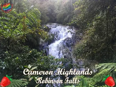 Robinson Falls, Cameron Highlands