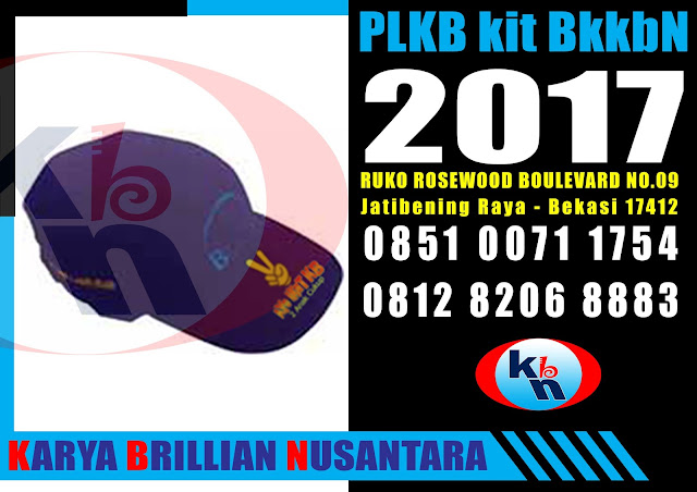 plkb kit bkkbn 2017, plkb kit 2017, ppkbd kit bkkbn 2017, ppkbd kit 2017, kie kit bkkbn 2017, distributor produk dak bkkbn 2017, produk dak bkkbn 2017, 