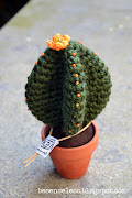 cactus amigurumi!