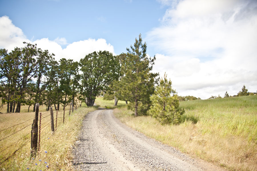 Real Wedding Meghan and Prescott's Rustic Chic Wedding