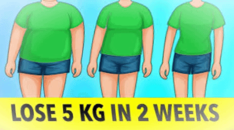 lose weight fast in 2 weeks diet