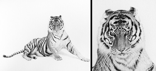 00-Surreal-Animal-Drawing-Mateo-Pizarro-www-designstack-co