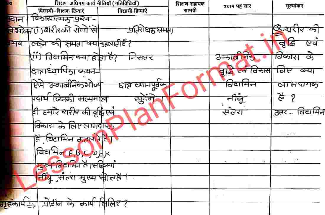 Science Lesson Plan on Components of Food in Hindi