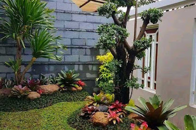 gambar taman bonsai depan rumah