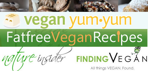 Websites for vegetarian recipes