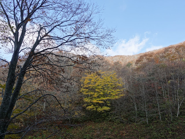 奥大山スキー場の山