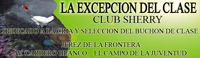 LA EXCEPCION DEL CLASE