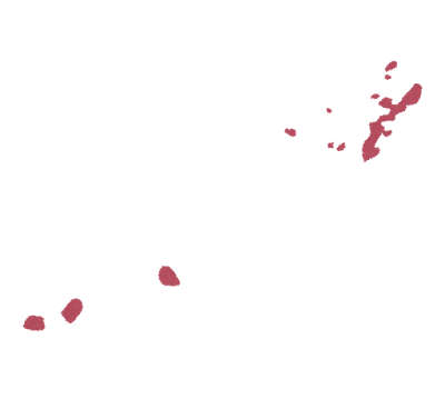 沖縄地方の地図のイラスト（地方区分）県境なし