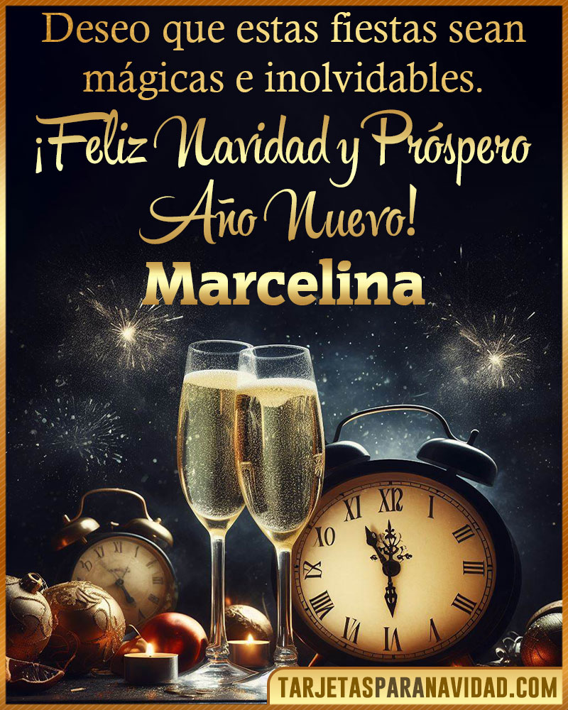 Feliz Navidad y Próspero Año Nuevo Marcelina