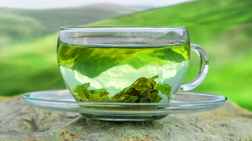 Organic Green Tea