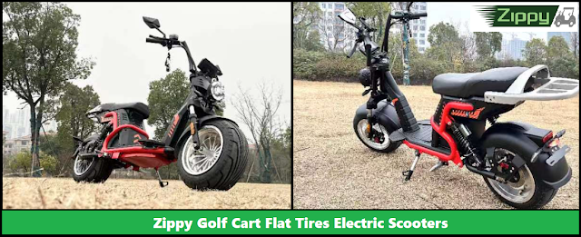 Beach Friendly Citycoco Flat Tires Electric Scooter By Zippy Golf Cart