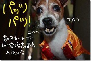 今日カズ１００７３１　５