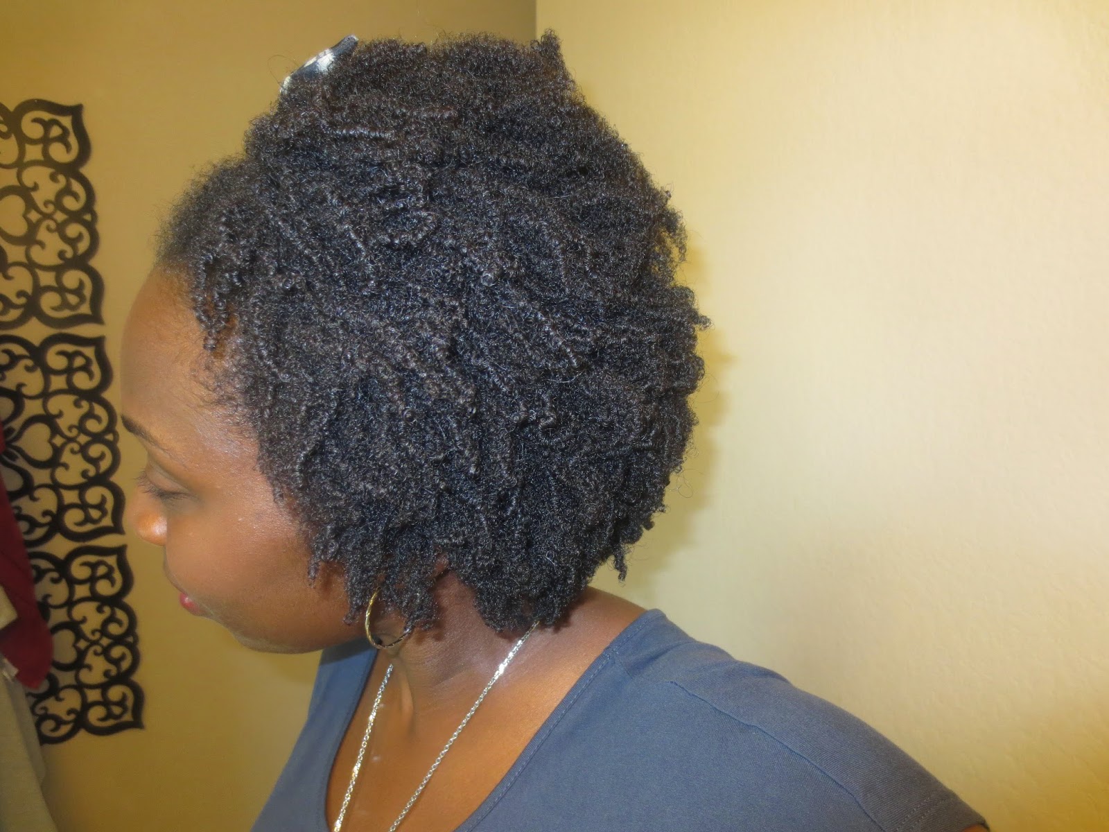 Wash and Go 4B 4C Natural Hair with Flaxseed Gel