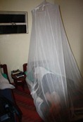 Kirsten under her mosquito net in the Red Chilli