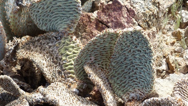 P1070459