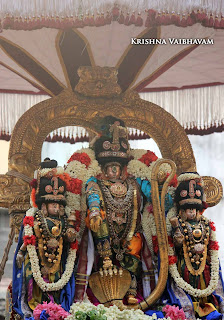 Sri Narasimha Swamy, Dhavana Utsavam, Theliya Singar, Azhaiya Singar,Thirumanjanam, Purappadu,  Triplicane,  Purappadu, Thiruvallikeni, Utsavam