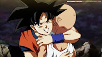 Dragon Ball Super Capitulo 105 Audio Latino HD