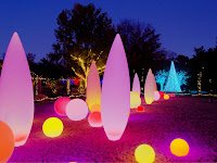 Botanical Gardens Light Show Groupon