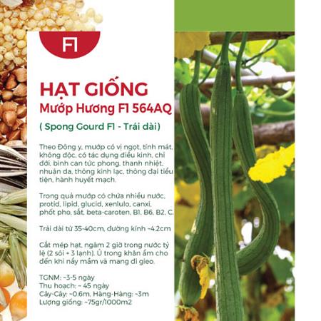 Hạt giống Mướp hương Thái Lan F1 564AQ - Trái dài