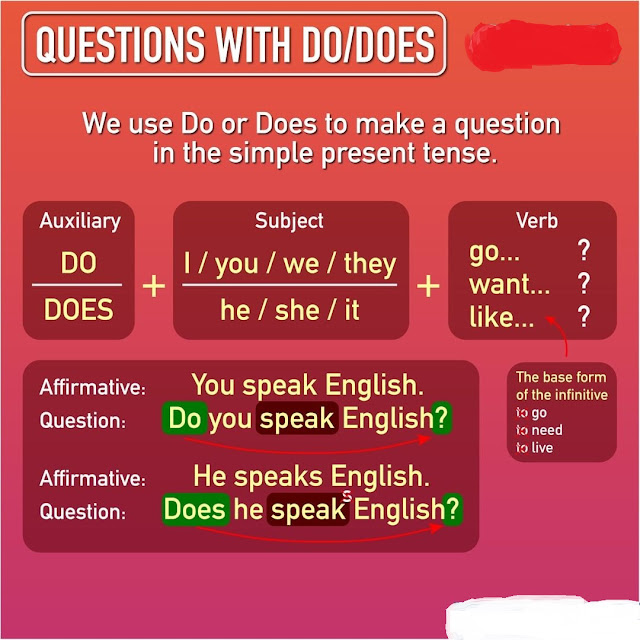 Questions with Do and Does