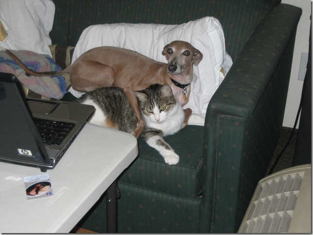 2008-11-01 UT Dasher & Clea
