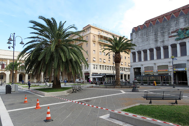 Potatura delle palme, piazza del Municipio, Livorno