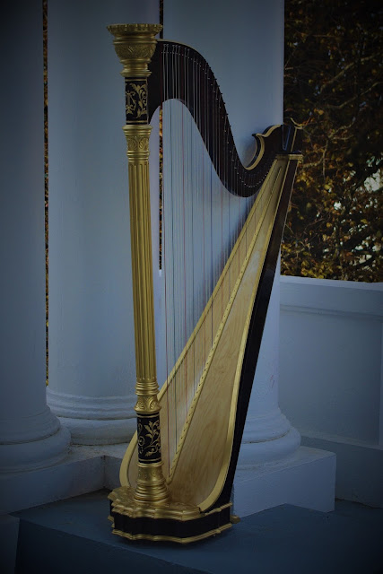 Grand Imperial harp front string side