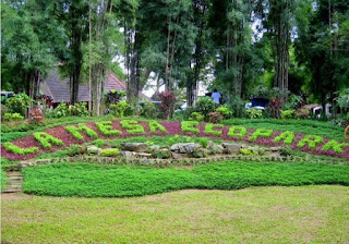 Pinoy Solo Hiker - La Mesa Eco Park