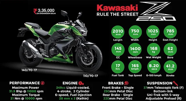 Just Purchased Kawasaki Z250 Super Naked: Street fighter on road : eAskme