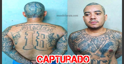 El Salvador: Capturan al terrorista alias "Lulo" en Ilopango / palabrero de la tribu San Martín