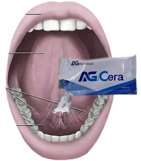 ag cera indonesia