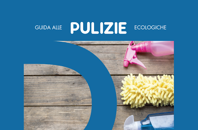 Guida alla pulizia ecologica della casa